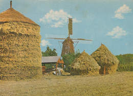 Delcampe - Nederland Slangenburg Molen Hooibergen En Landschap Oblitereerd #SCH866 - Doetinchem