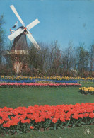 Delcampe - Nederland Lisse Zuid Holland Keukenhof Molen Tulpen Oblitereerd 1963 #SCK836 - Lisse