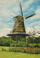 Delcampe - Nederland Putten Historische Molen T Hert Landschap Afgestempeld #SCK821 - Putten