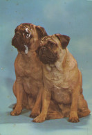 Delcampe - Venezuela Perros Mops Dos Ejemplares Sentados Retrato Animal Oblitera #SCK746 - Venezuela