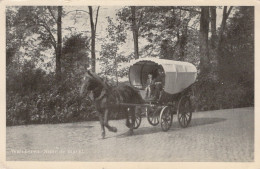 Delcampe - Nederland Walcheren Paard En Wagen Naar De Markt Vervoer Geplaatst #SCK471 - Sonstige & Ohne Zuordnung