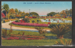 Delcampe - Alger - N° 484 Jardin D'Essai (Nouveau) LL - Algerien