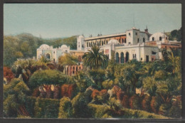 Delcampe - Alger - N° 218 Palais D'été De M. Le Gouverneur De L'Algérie Et Ses Jardins - Edition La Cigogne - Algerien