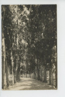 Delcampe - URUGUAY - MONTEVIDEO - Prado - Uruguay