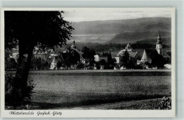 Delcampe - Mittelwalde Miedzylesie - Grafschaft Glatz - 52296576 - Polen
