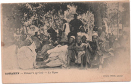 Delcampe - GUINEE Française - CONAKRY- 1905- Concours Agricole- " Le Repos"   Ed Owondo  CPA - Französisch-Guinea