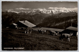 Delcampe - Niederhorn Beatenberg Carte Postale Postcard - Beatenberg