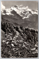 Delcampe - Jungfrau Carte Postale Postcard - Interlaken