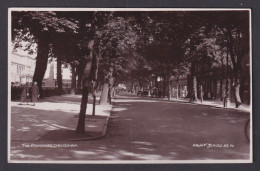Delcampe - Vintage Postcard United Kingdom Cheltenham Promenade - Cheltenham
