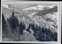 Delcampe - Triberg [Foto] Carle - Triberg