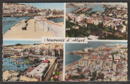 Delcampe - Alger - N° 513 Souvenir D'Alger - Algerien