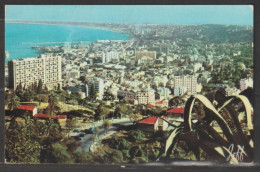 Delcampe - Alger - N° 1006 Vue Panoramique - Algerien