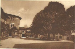 Delcampe - CPSM Pérouges Tilleul - Pérouges