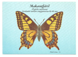 Delcampe - OLD WORLD SWALLOWTAIL - Papilio Machaon - - Insecten