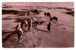 Delcampe - 36728 " EGYPTE-VUE DU DESERT "  ANIMÉ-VERA FOTO-CART. POST. SPEDITA 1953 - Kairo