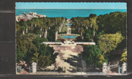Delcampe - Alger - N° 185  Jardin D'Essai - Edition Panasol - Algerien