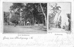 Delcampe - C. P. A. : 67 : SAVERNE : Gruss Vom KARLSSPRUNG, Timbre En 1909 - Saverne