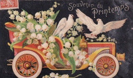 Delcampe - MUGUET        SOUVENIR  DU PRINTEMPS - Blumen
