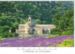 Delcampe - CPM - VAUCLUSE - GORDES - L'ABBAYE DE SENANQUE - Gordes