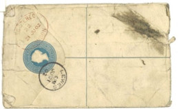 Delcampe - CAPE OF GOOD HOPE - Registered Letter - Voir Cachet - Vignette Ronde Bleue Avec Beau Cachet De LEWES (129428) - Südafrika