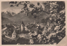 Delcampe - CARTOLINA  MERANO,TRENTINO ALTO ADIGE-PRIMAVERA IN MERANO-MONTAGNA,VACANZA,NEVE,SCIARE,BELLA ITALIA,VIAGGIATA 1950 - Merano