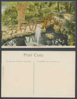 Delcampe - Gibraltar Old Colour Postcard The Cascade Boy Near Bridge Fountain Lake Pond VBC - Gibraltar