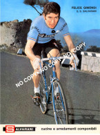Delcampe - PHOTO REENFORCE, NO CARTE, FELICE GIMONDI TEAM SALVARANI 1971 FORMAT 17,5 X 23,5 ) - Radsport