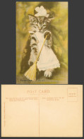 Delcampe - Dressed Cat Kitten Broom Broomstick Sweeping Tired Out Old Colour Postcard No.42 - Katten