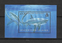 Delcampe - Ascension 2008 Sharks Y.T. BF 62 ** - Ascensión
