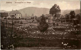 Delcampe - Zabern - Rosengarten - Saverne
