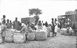 Delcampe - Carte Postale : TCHAD : Un Marché De Coton, Timbres En 1964 - Chad