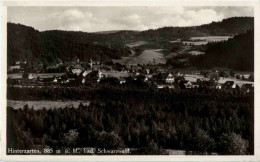 Delcampe - Hinterzarten - Hinterzarten
