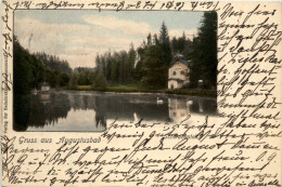 Delcampe - Gruss Aus Augustusbad - Bautzen