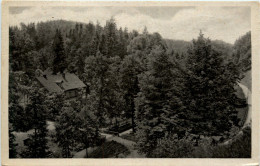 Delcampe - Hermsdorf, Gasthaus Und Sommerfrische Ziegenmühle - Hermsdorf