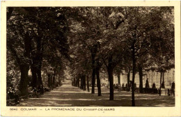 Delcampe - Colmar - Champ De Mars - Colmar