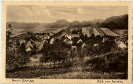 Delcampe - Sülzhayn - Blick Vom Sackberg - Nordhausen