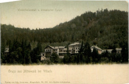 Delcampe - Villach, Mittewald, Wasserheilanstalt Und Klimatischer Kurort - Villach