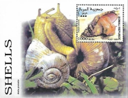 Delcampe - SOMALIA  - 1999  - MARINE LIFE - VITA MARINA - SHELLS - 1 V. -  MNH - - Coquillages