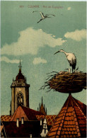 Delcampe - Colmar - Nid De Cigognes - Colmar