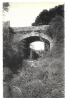 Delcampe - Montagnac, Pont Sur L'ensigaud (18037) - Montagnac