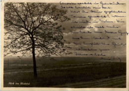 Delcampe - Blick In Rheintal - Weil Am Rhein