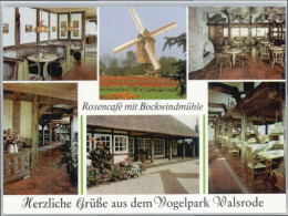 Delcampe - Walsrode Lueneburger Heide Walsrode Cafe Bockwindmuehle Vogelpark - Walsrode