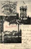 Delcampe - Gruss Aus Dem Schwarzwald - Kurhaus Hundseck - Rastatt