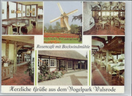 Delcampe - Walsrode Lueneburger Heide Walsrode Cafe Bockwindmuehle Vogelpark - Walsrode