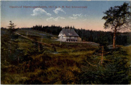 Delcampe - Gasthof Herzogenhorn - Feldberg