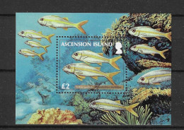 Delcampe - Ascension 2012 Fish Y.T. BF 73 ** - Ascensión