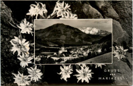 Delcampe - Mariazell, Grüsse - Mariazell