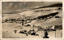 Delcampe - Todtnauberg - Todtnau