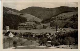Delcampe - Schönau Im Schwarzwald - Lörrach