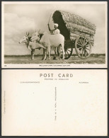 Delcampe - Ceylon Old Real Photo Postcard Double Bullock Cart And Native Driver Man Colombo - Sri Lanka (Ceylon)